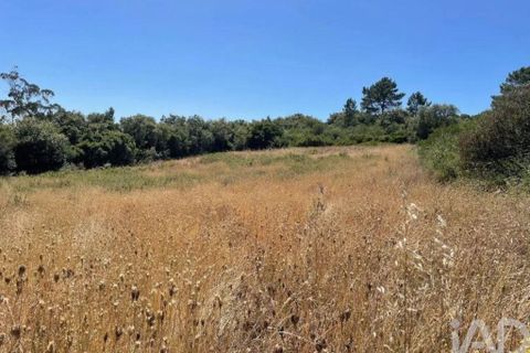 Tomt i Mafra, Lisbon, Mafra - € 80 000 | Ref: 825996 - foto 10