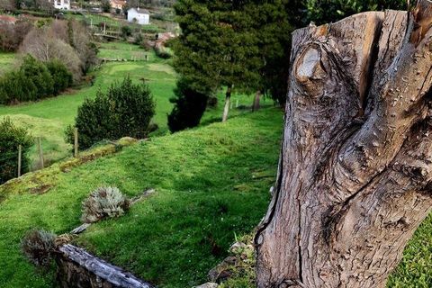 Farm i Valenca, Viana do Castelo, Valenca - € 850.000 | Ref: 819645 - foto 23