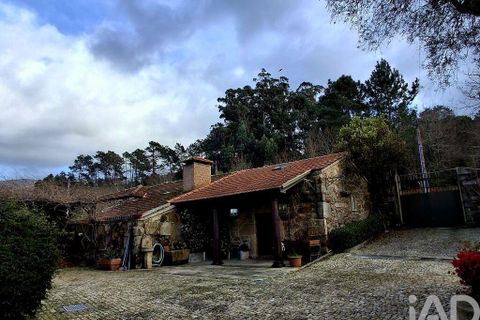 Farm i Valenca, Viana do Castelo, Valenca - € 850.000 | Ref: 819645 - foto 25