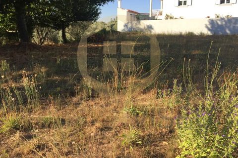Helårsgrund i Mangualde, Viseu, Mangualde - € 25.000 | Ref: SÒL_2311 - foto 3