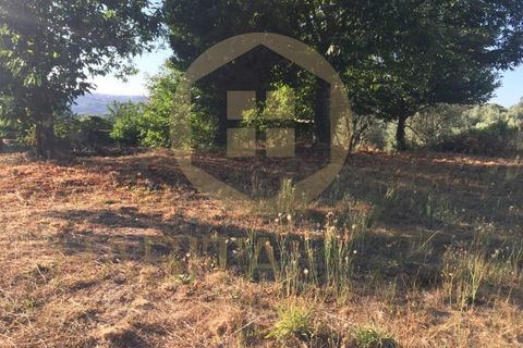 Helårsgrund i Mangualde, Viseu, Mangualde - € 25.000 | Ref: SÒL_2311 - foto 6