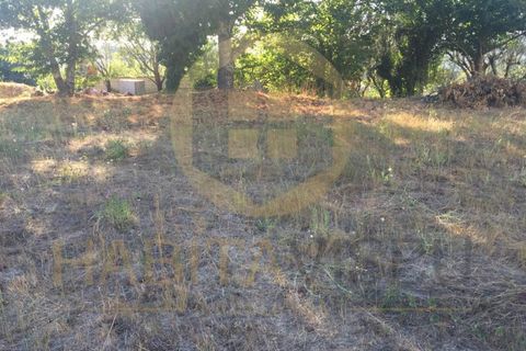 Helårsgrund i Mangualde, Viseu, Mangualde - € 25.000 | Ref: SÒL_2311 - foto 8