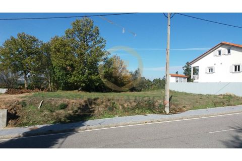 Helårsgrund i Mangualde, Viseu, Mangualde - € 25.000 | Ref: SÒL_2311 - foto 9