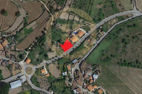 Helårsgrund i Mangualde, Viseu, Mangualde - € 25.000 | Ref: SÒL_2311 - foto 11