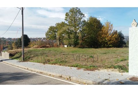 Helårsgrund i Mangualde, Viseu, Mangualde - € 25.000 | Ref: SÒL_2311 - foto 12