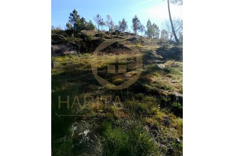 Helårsgrund i Abraveses, Viseu, Abraveses - € 55.000 | Ref: 2601-T - foto 4