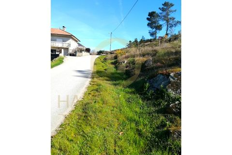 Helårsgrund i Abraveses, Viseu, Abraveses - € 55.000 | Ref: 2601-T - foto 8