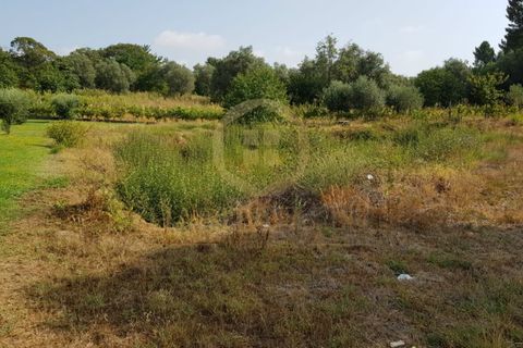 Helårsgrund i Ranhados, Viseu, Ranhados - € 124.500 | Ref: 2491-3 - foto 2