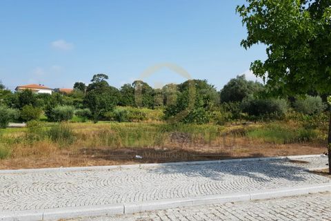 Helårsgrund i Ranhados, Viseu, Ranhados - € 124.500 | Ref: 2491-3 - foto 3