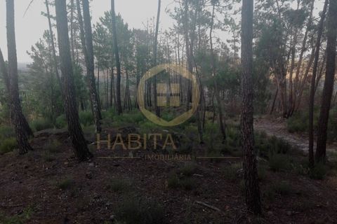 Helårsgrund i Viseu, Viseu, Viseu - € 55.000 | Ref: 2485 - foto 2