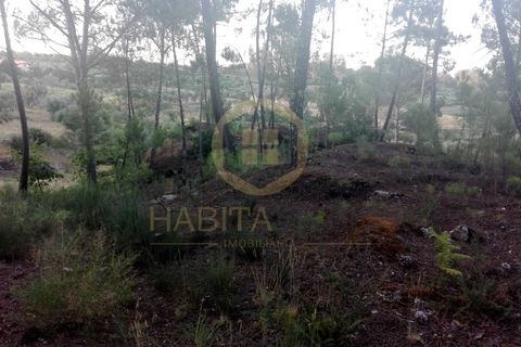 Helårsgrund i Viseu, Viseu, Viseu - € 55.000 | Ref: 2485 - foto 3