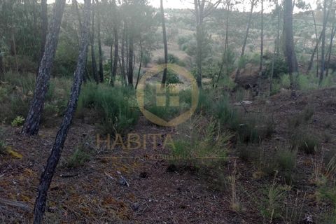 Helårsgrund i Viseu, Viseu, Viseu - € 55.000 | Ref: 2485 - foto 4