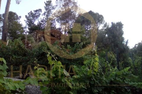 Helårsgrund i Viseu, Viseu, Viseu - € 55.000 | Ref: 2485 - foto 6