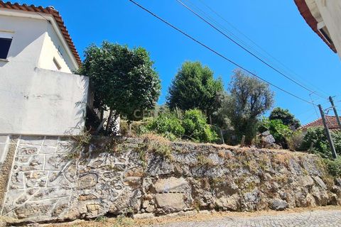 Villa i Penalva do Castelo, Viseu, Penalva do Castelo - € 120.000 | Ref: C0468-00547 - foto 15