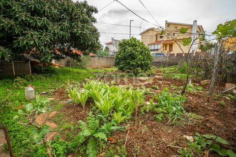 Helårsgrund i Alcabideche, Lisbon, Alcabideche - € 250.000 | Ref: ZMPT585372 - foto 1