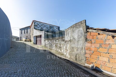 Villa i Lavra, Porto, Lavra - € 540.000 | Ref: HT_7133 - foto 5