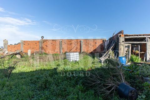 Villa i Lavra, Porto, Lavra - € 540.000 | Ref: HT_7133 - foto 20