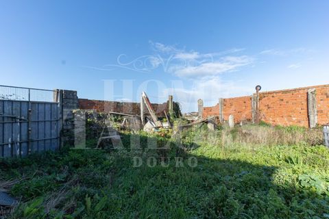 Villa i Lavra, Porto, Lavra - € 540.000 | Ref: HT_7133 - foto 21