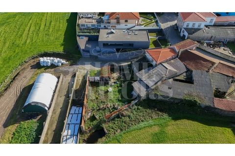 Villa i Lavra, Porto, Lavra - € 540.000 | Ref: HT_7133 - foto 27