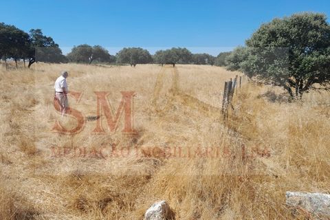 Terra a Alandroal, Evora, Alandroal - € 40.000 | Ref: SML_245 - foto 4