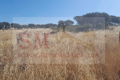Terra a Alandroal, Evora, Alandroal - € 40.000 | Ref: SML_245 - foto 7