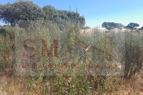 Terra a Alandroal, Evora, Alandroal - € 40.000 | Ref: SML_245 - foto 8