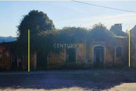 Helårsgrund i Mealhada, Aveiro, Mealhada - € 45.000 | Ref: C0462-00204 - foto 1