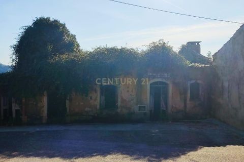 Helårsgrund i Mealhada, Aveiro, Mealhada - € 45.000 | Ref: C0462-00204 - foto 3