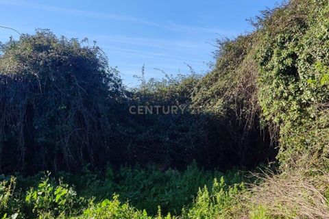 Helårsgrund i Mealhada, Aveiro, Mealhada - € 45.000 | Ref: C0462-00204 - foto 4