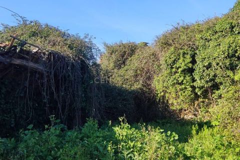 Helårsgrund i Mealhada, Aveiro, Mealhada - € 45.000 | Ref: C0462-00204 - foto 5