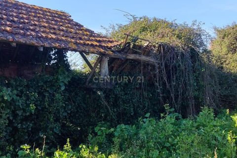 Helårsgrund i Mealhada, Aveiro, Mealhada - € 45.000 | Ref: C0462-00204 - foto 6