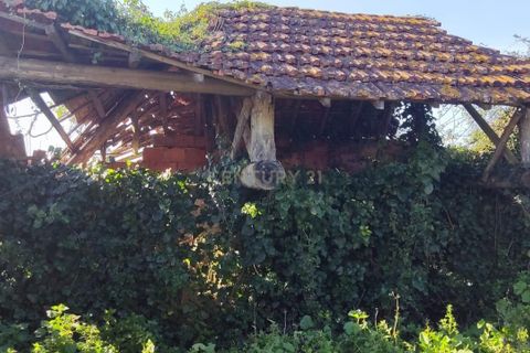 Helårsgrund i Mealhada, Aveiro, Mealhada - € 45.000 | Ref: C0462-00204 - foto 7