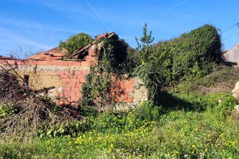 Helårsgrund i Mealhada, Aveiro, Mealhada - € 45.000 | Ref: C0462-00204 - foto 8