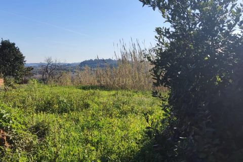 Helårsgrund i Mealhada, Aveiro, Mealhada - € 45.000 | Ref: C0462-00204 - foto 9