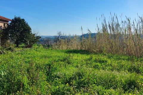 Helårsgrund i Mealhada, Aveiro, Mealhada - € 45.000 | Ref: C0462-00204 - foto 10