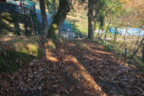 Byhus i Lucca, Lucca, Lucca - € 100.000 | Ref: IA04193 - foto 15