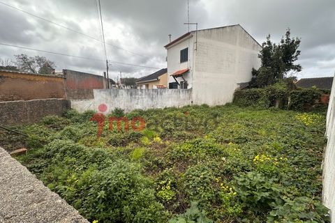 Helårsgrund i Carvalhal, Leiria, Carvalhal - € 46.000 | Ref: 2026_005 - foto 4