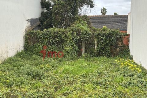 Helårsgrund i Carvalhal, Leiria, Carvalhal - € 46.000 | Ref: 2026_005 - foto 5