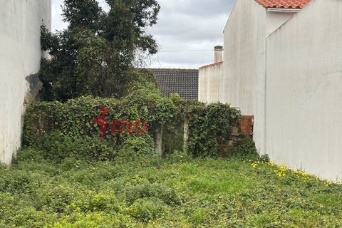 Helårsgrund i Carvalhal, Leiria, Carvalhal - € 46.000 | Ref: 2026_005 - foto 6