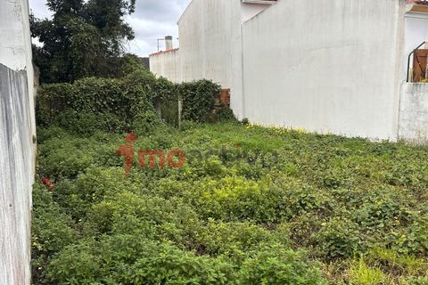 Helårsgrund i Carvalhal, Leiria, Carvalhal - € 46.000 | Ref: 2026_005 - foto 7