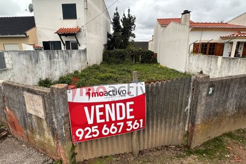 Helårsgrund i Carvalhal, Leiria, Carvalhal - € 46.000 | Ref: 2026_005 - foto 13