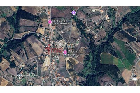 Helårsgrund i Carvalhal, Leiria, Carvalhal - € 46.000 | Ref: 2026_005 - foto 15