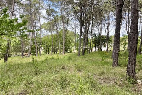 Helårsgrund i Lorgues, Var, Lorgues - € 265.000 | Ref: 86759936 - foto 3