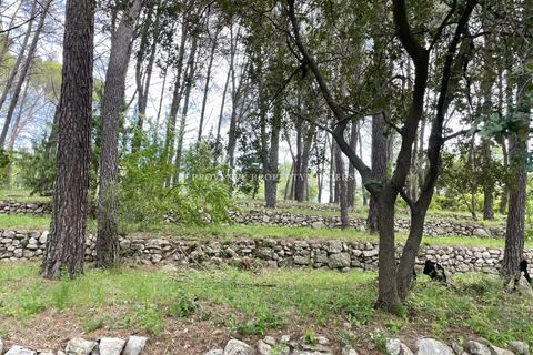 Helårsgrund i Lorgues, Var, Lorgues - € 265.000 | Ref: 86759936 - foto 6