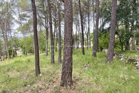 Helårsgrund i Lorgues, Var, Lorgues - € 265.000 | Ref: 86759936 - foto 9