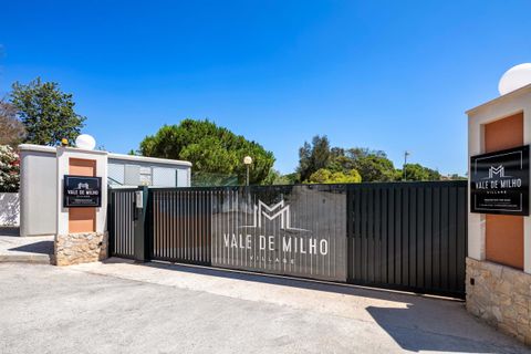 Villa i Carvoeiro, Faro, Carvoeiro - € 570.000 | Ref: VI-439-1 - foto 7