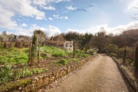 Villa a Vetralla, Viterbo, Vetralla - € 310.000 | Ref: CBI006-2280-333044 - foto 11