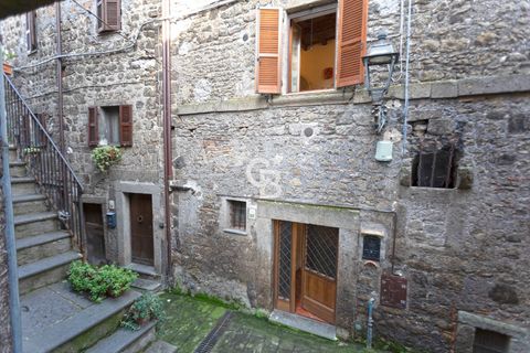 Villa i Bomarzo, Viterbo, Bomarzo - € 125.000 | Ref: CBI006-11-333054 - foto 2