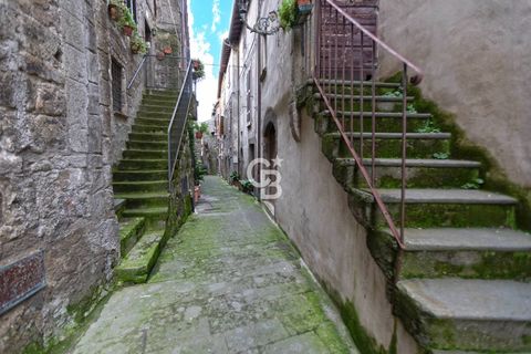 Villa i Bomarzo, Viterbo, Bomarzo - € 125.000 | Ref: CBI006-11-333054 - foto 32