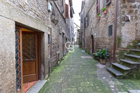 Villa i Bomarzo, Viterbo, Bomarzo - € 125.000 | Ref: CBI006-11-333054 - foto 38
